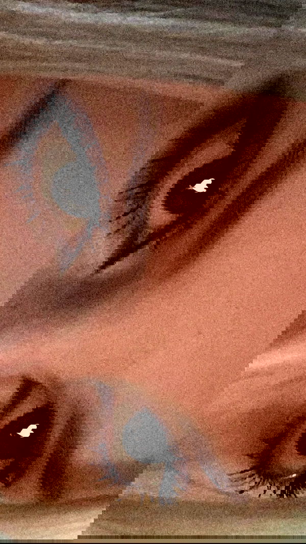 toriawashere image ~ Altpins