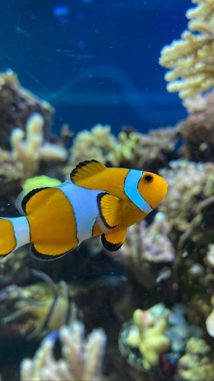 toriawashere instagram image archive image