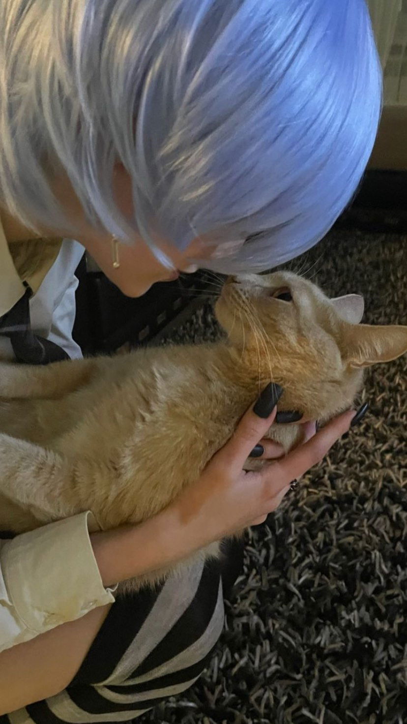 toriawashere instagram image archive image