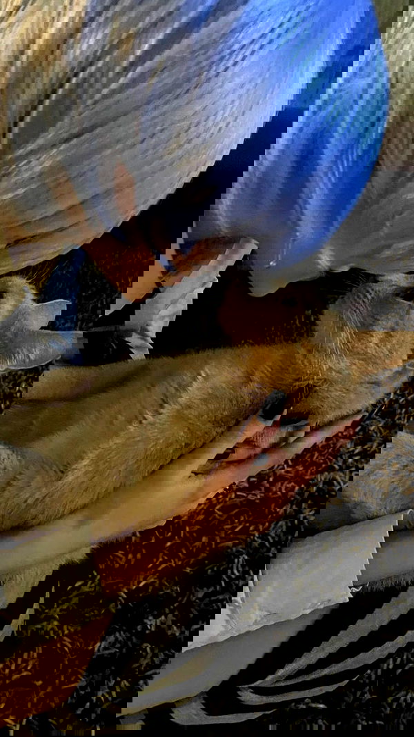 toriawashere image ~ Altpins