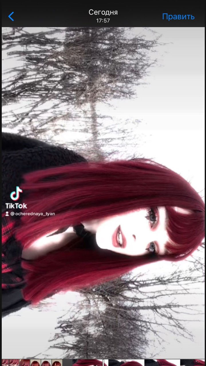 toriawashere instagram image archive image