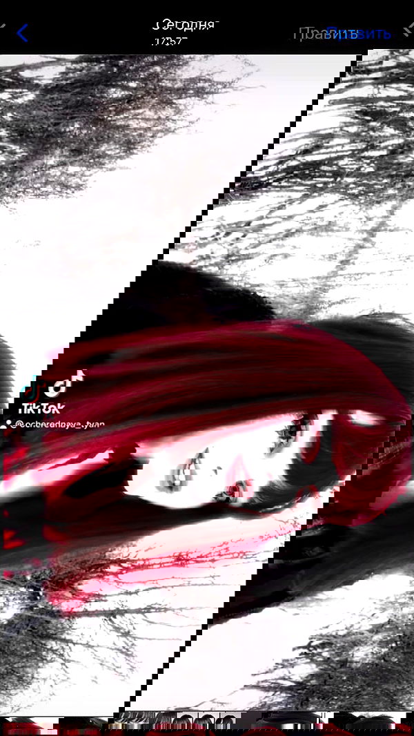 toriawashere image ~ Altpins