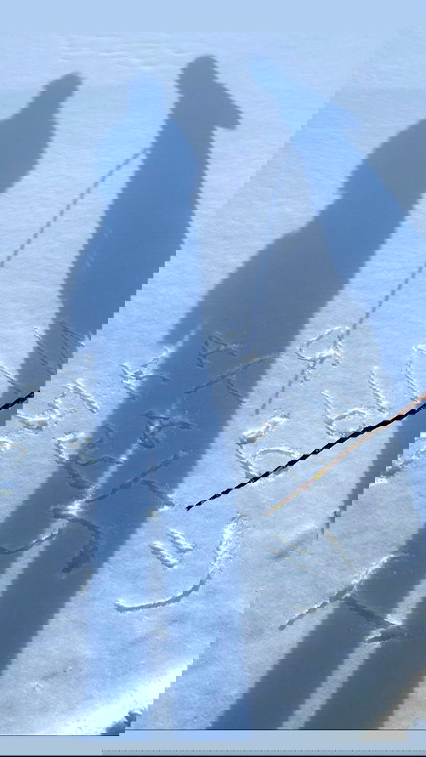 toriawashere image ~ Altpins