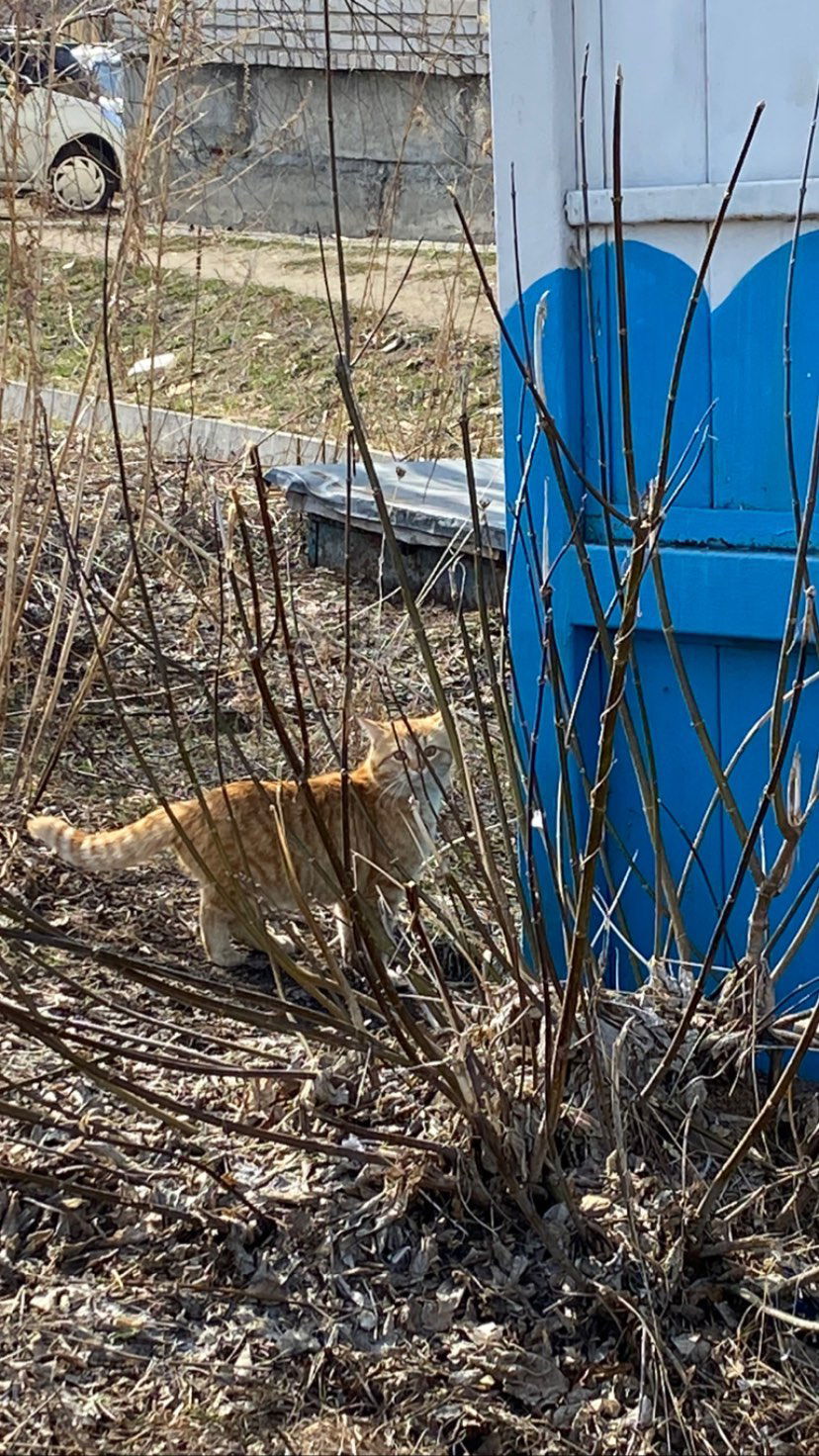 toriawashere instagram image archive image