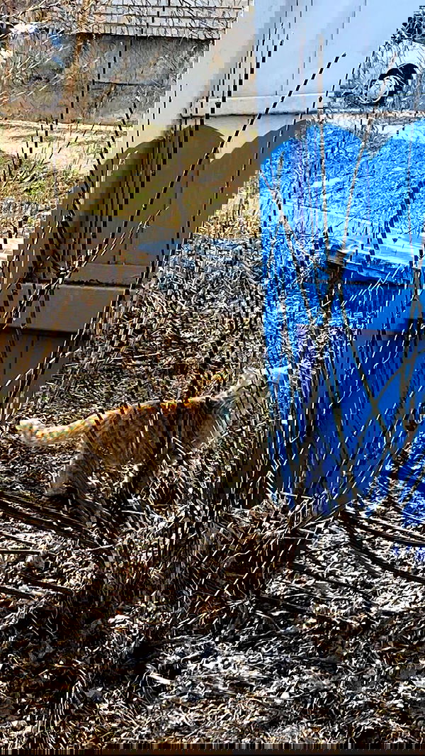 toriawashere image ~ Altpins