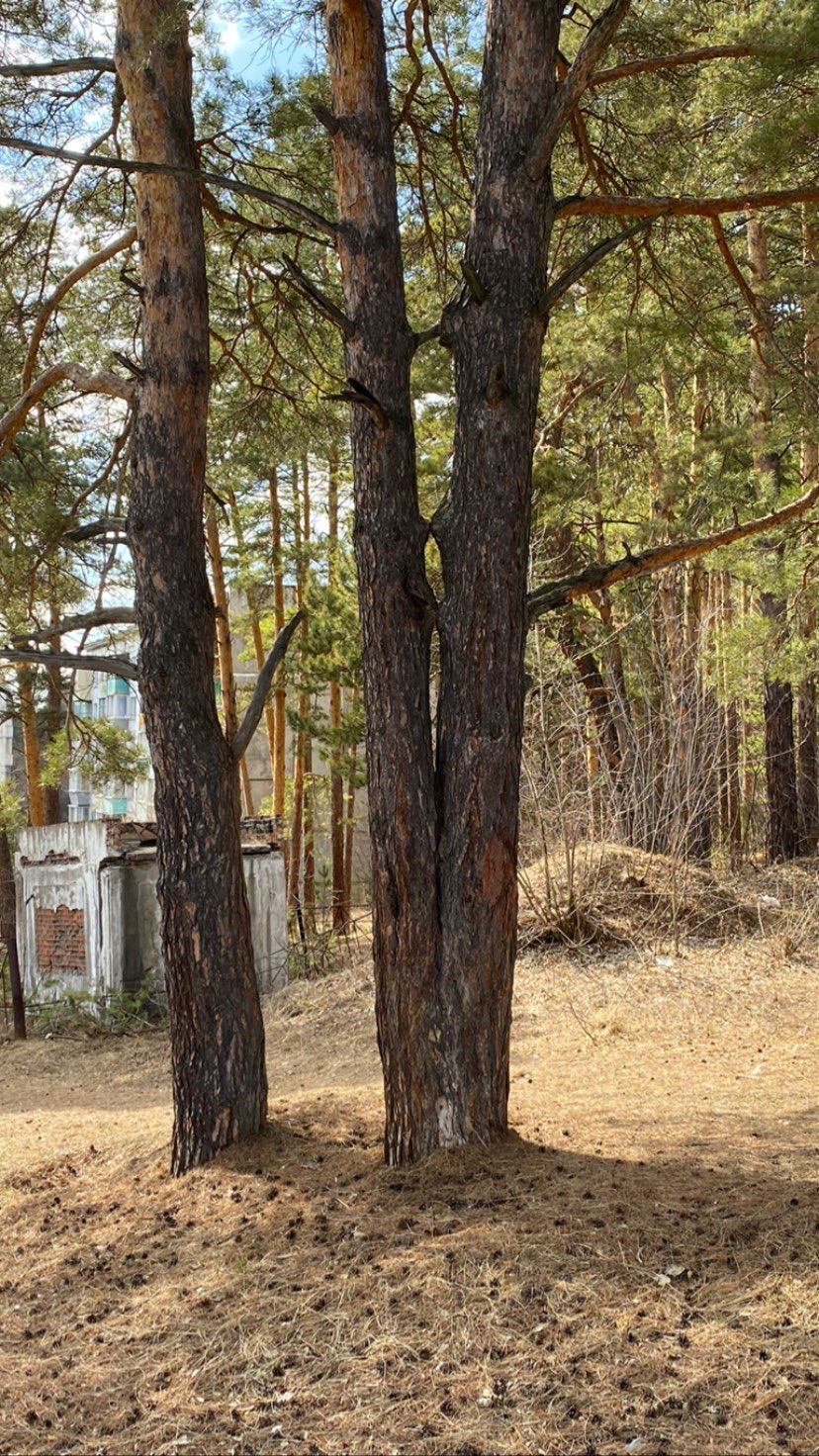 toriawashere instagram image archive image