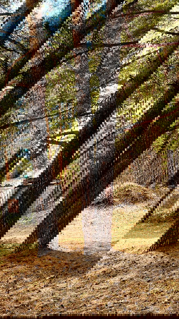 toriawashere image ~ Altpins