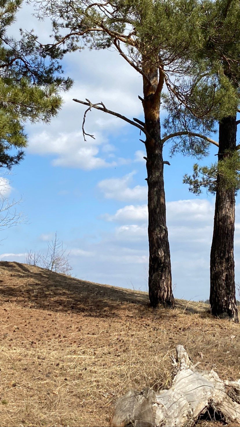 toriawashere instagram image archive image