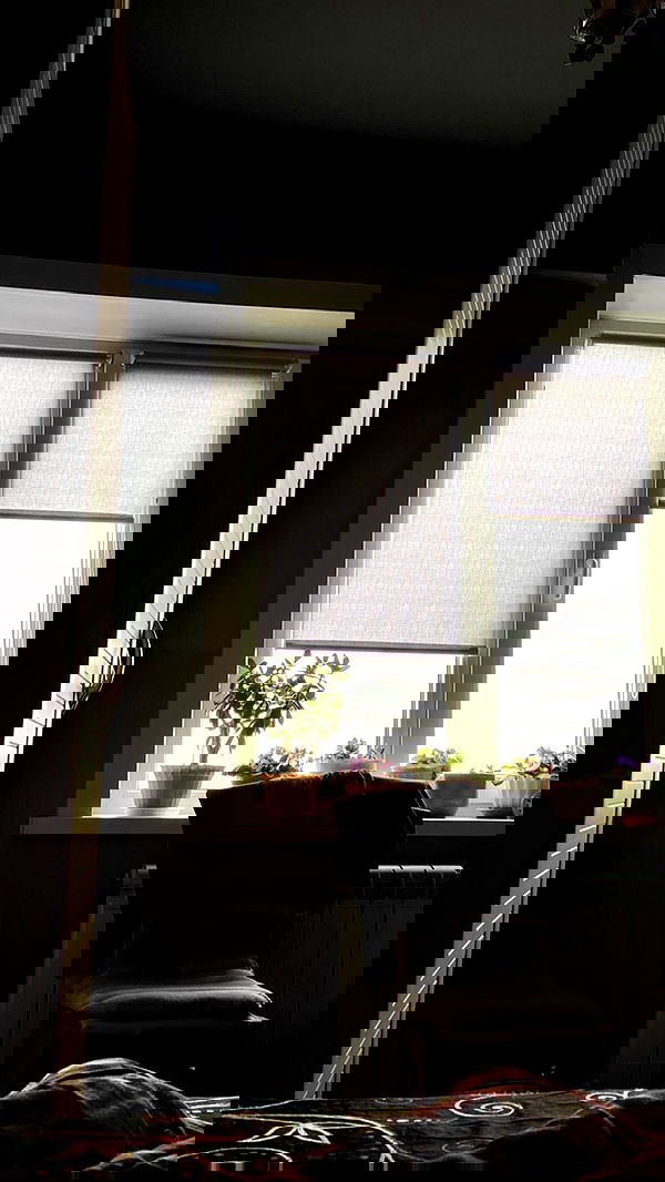 toriawashere image ~ Altpins