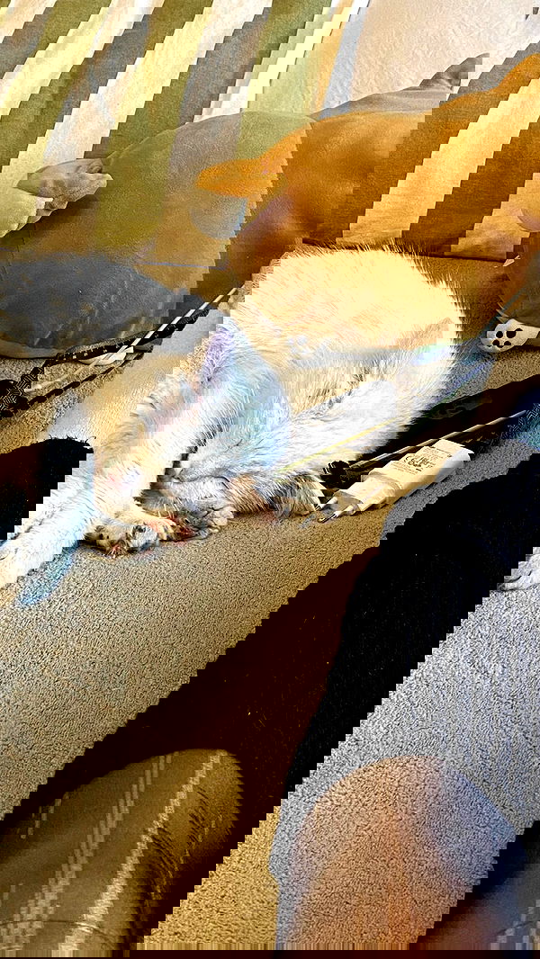 toriawashere image ~ Altpins