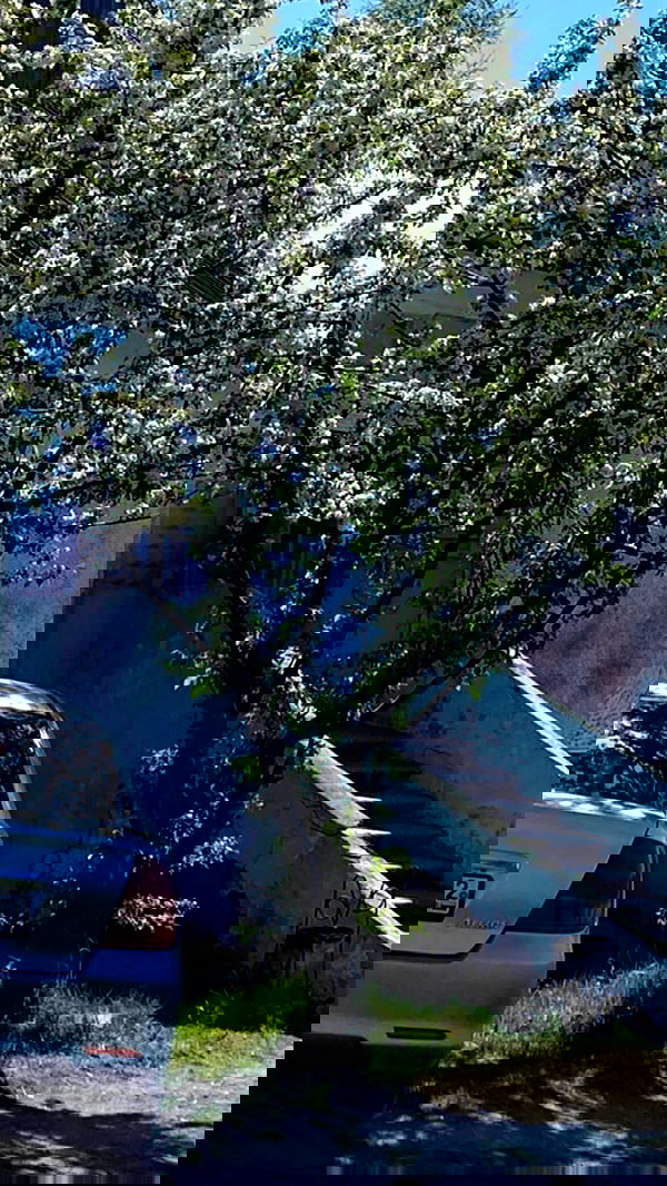 toriawashere image ~ Altpins