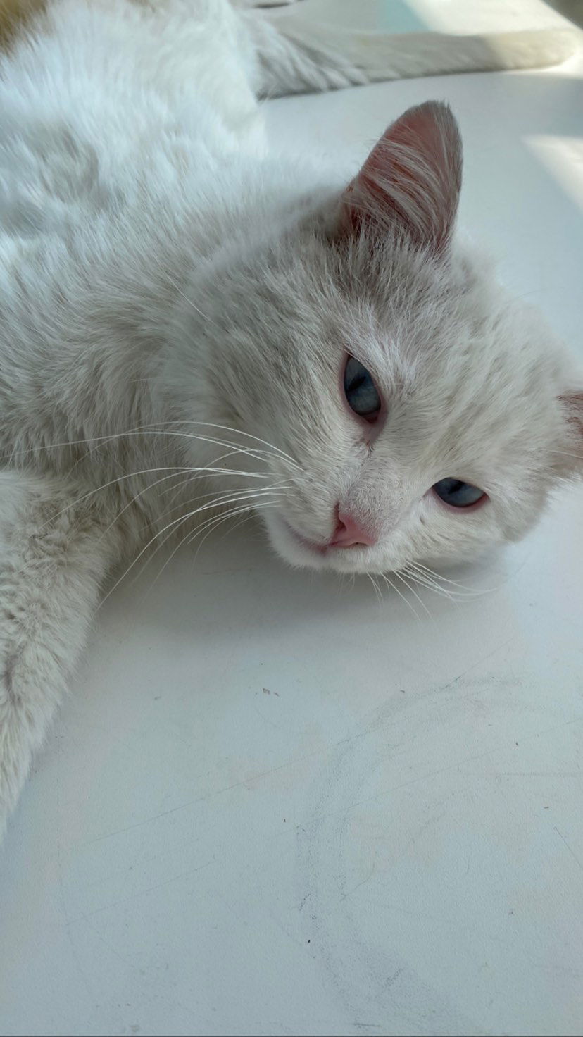 toriawashere instagram image archive image