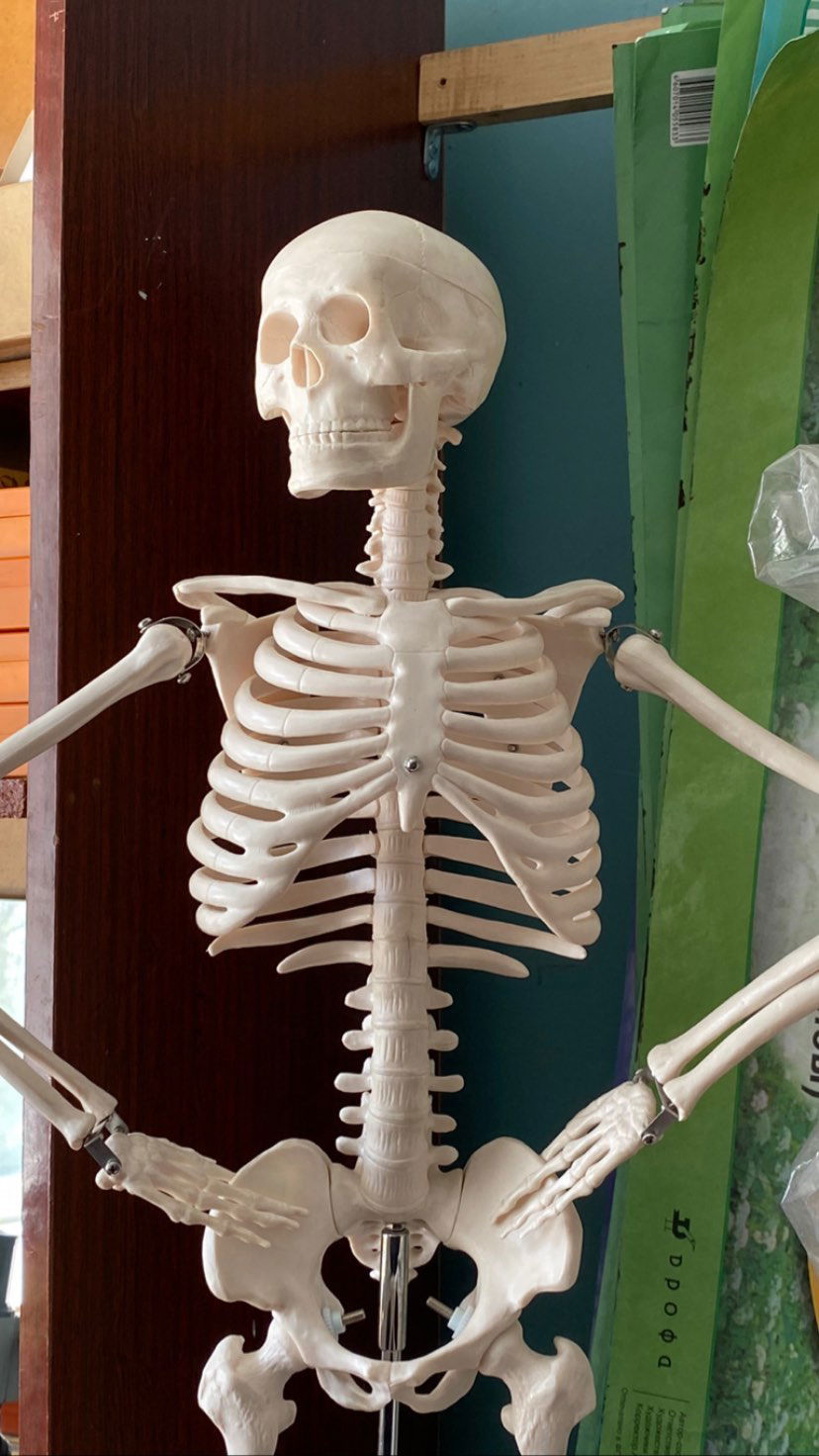 toriawashere instagram image archive image