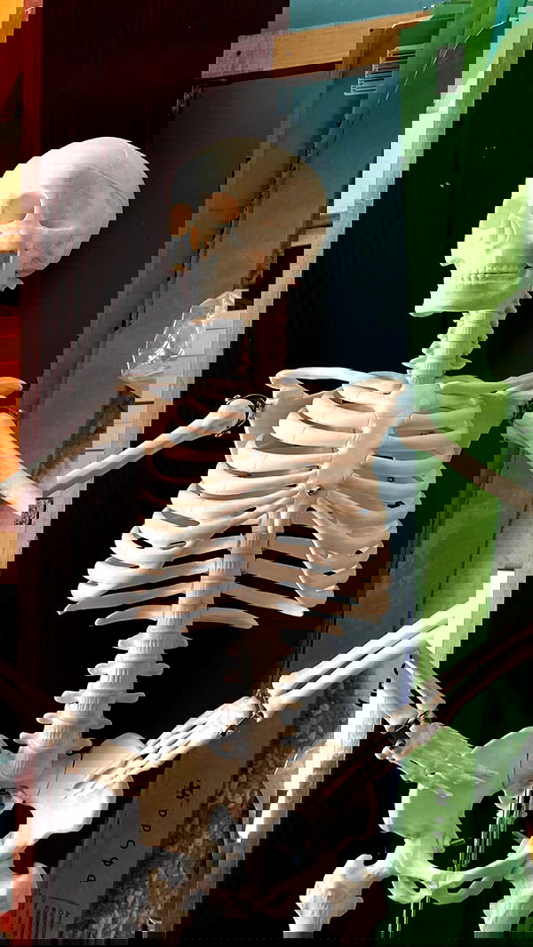 toriawashere image ~ Altpins