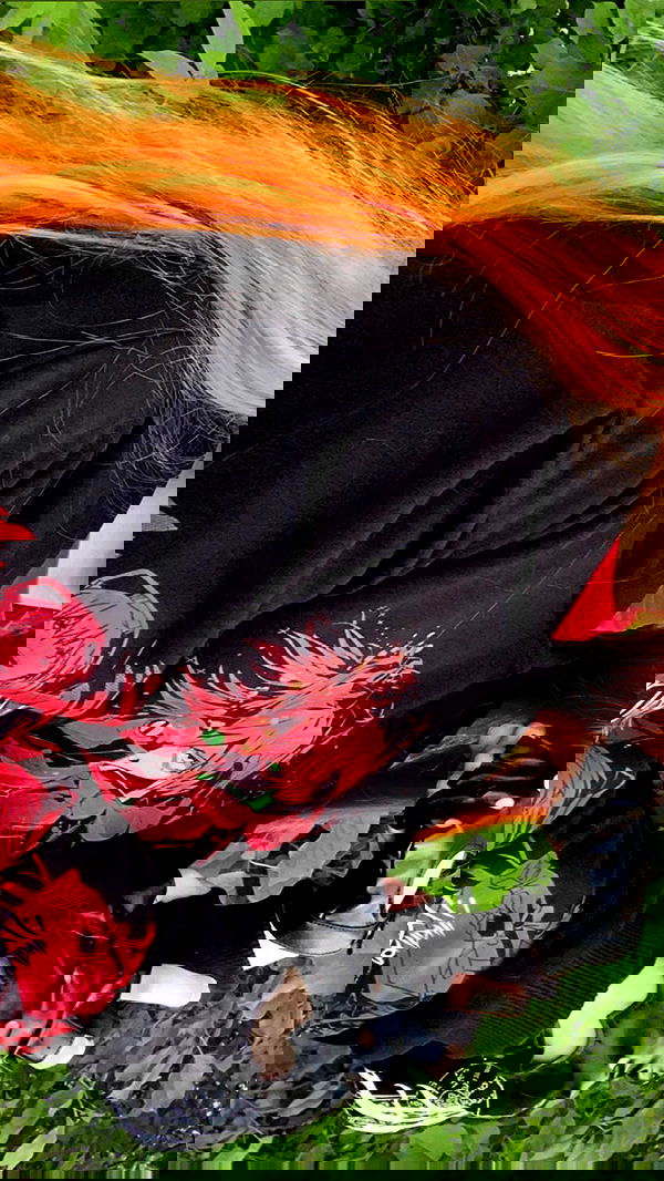 toriawashere image ~ Altpins