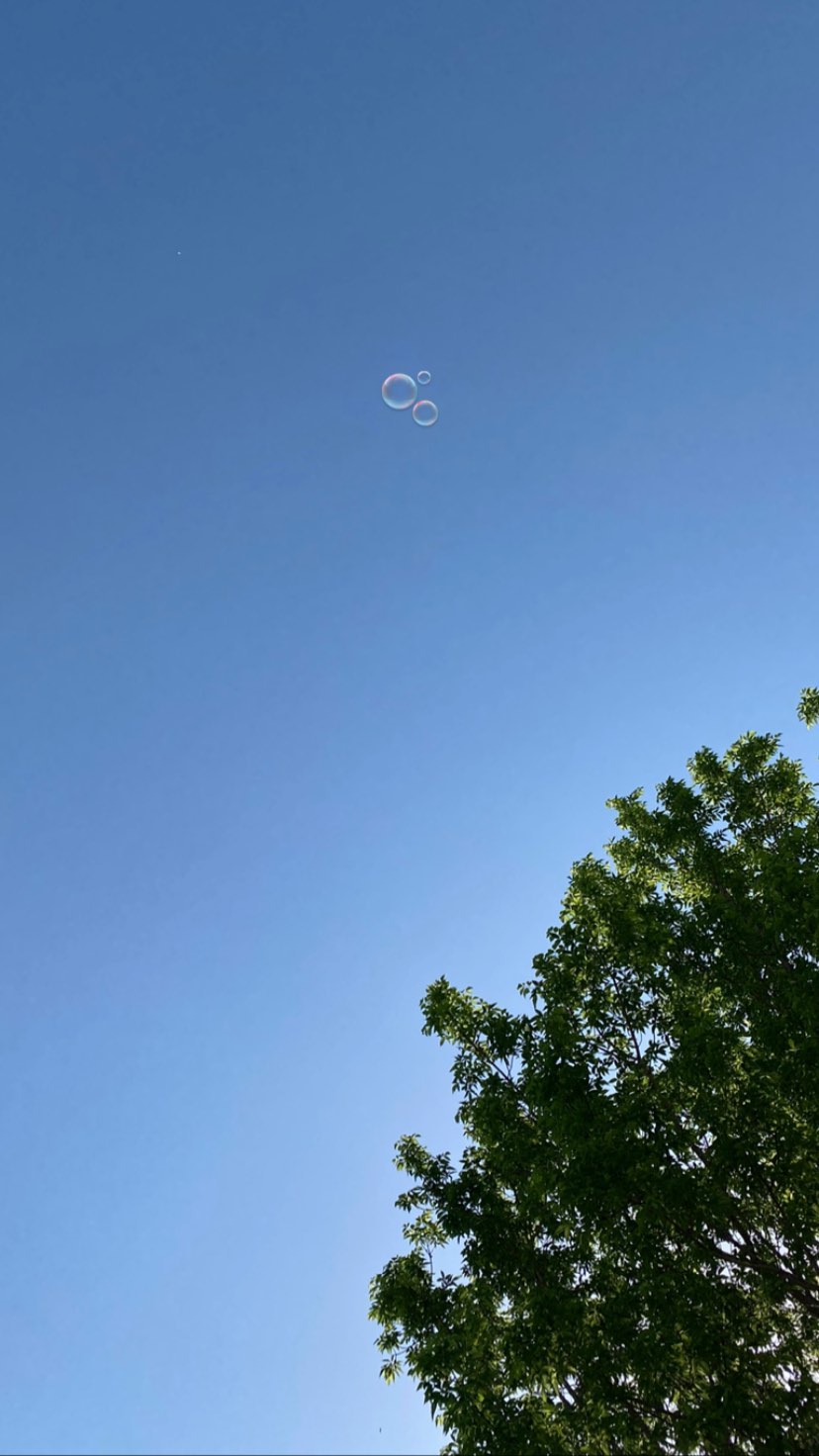 toriawashere instagram image archive image