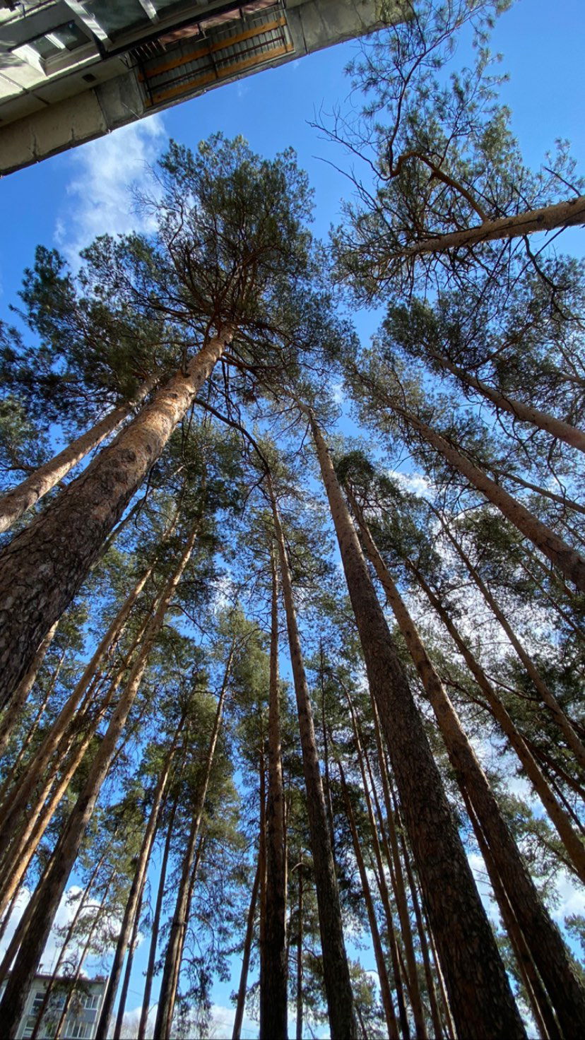 toriawashere instagram image archive image