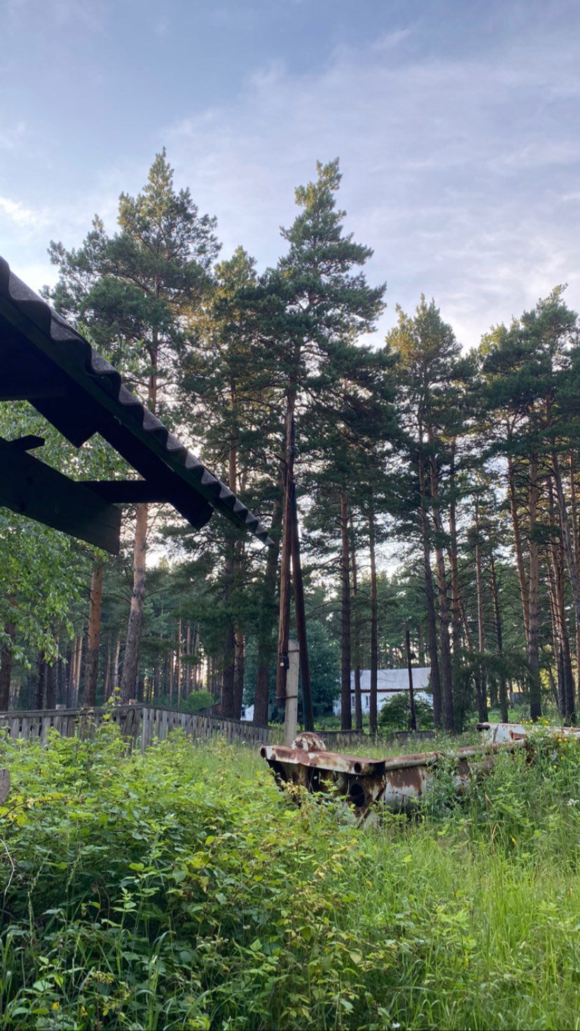 toriawashere instagram image archive image