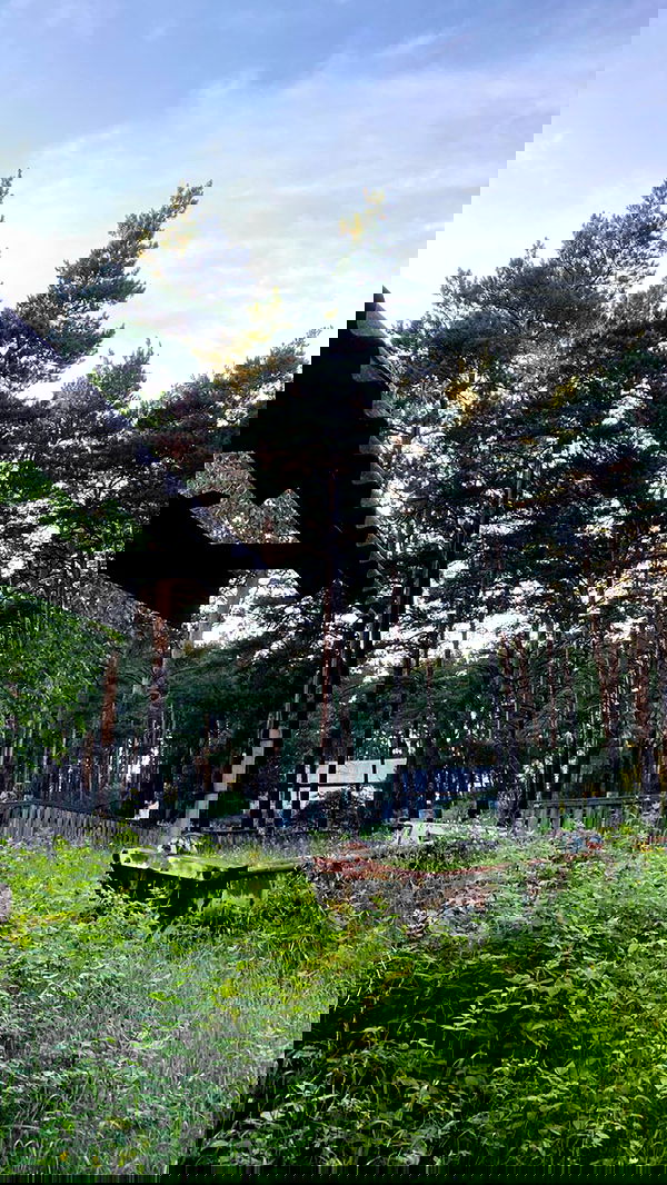 toriawashere image ~ Altpins