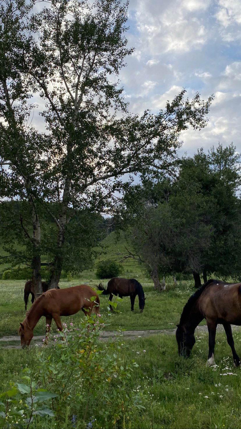 toriawashere instagram image archive image