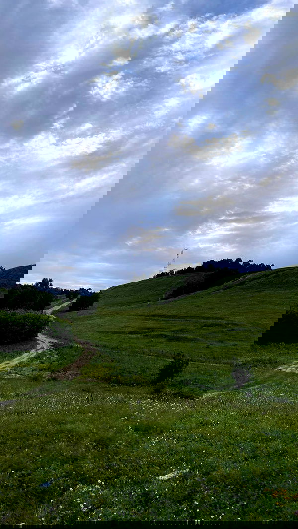 toriawashere image ~ Altpins