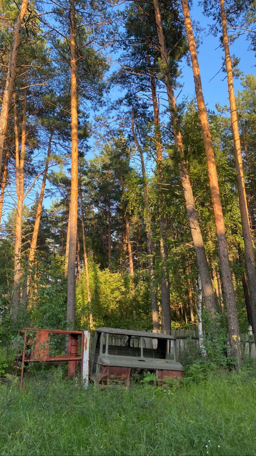 toriawashere instagram image archive image