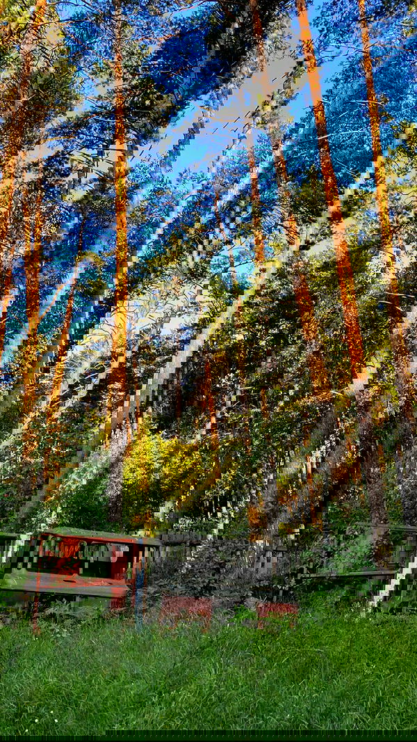 toriawashere image ~ Altpins