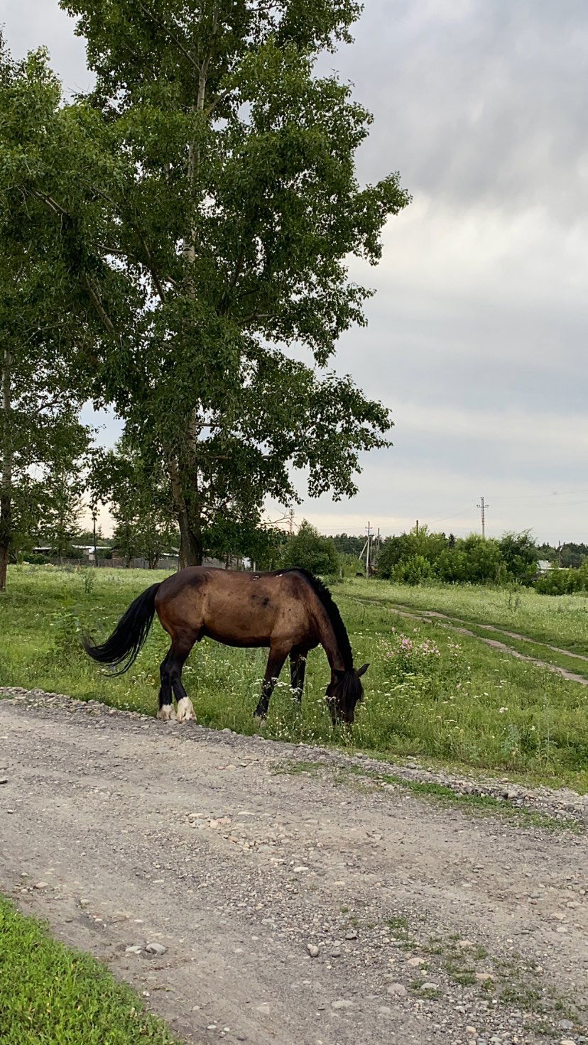 toriawashere instagram image archive image