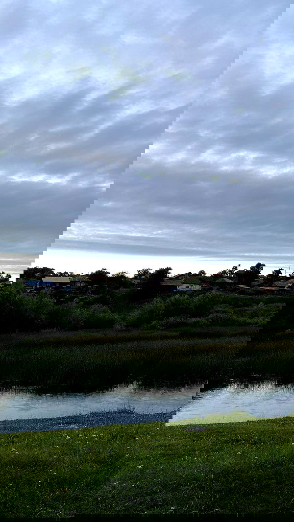 toriawashere image ~ Altpins