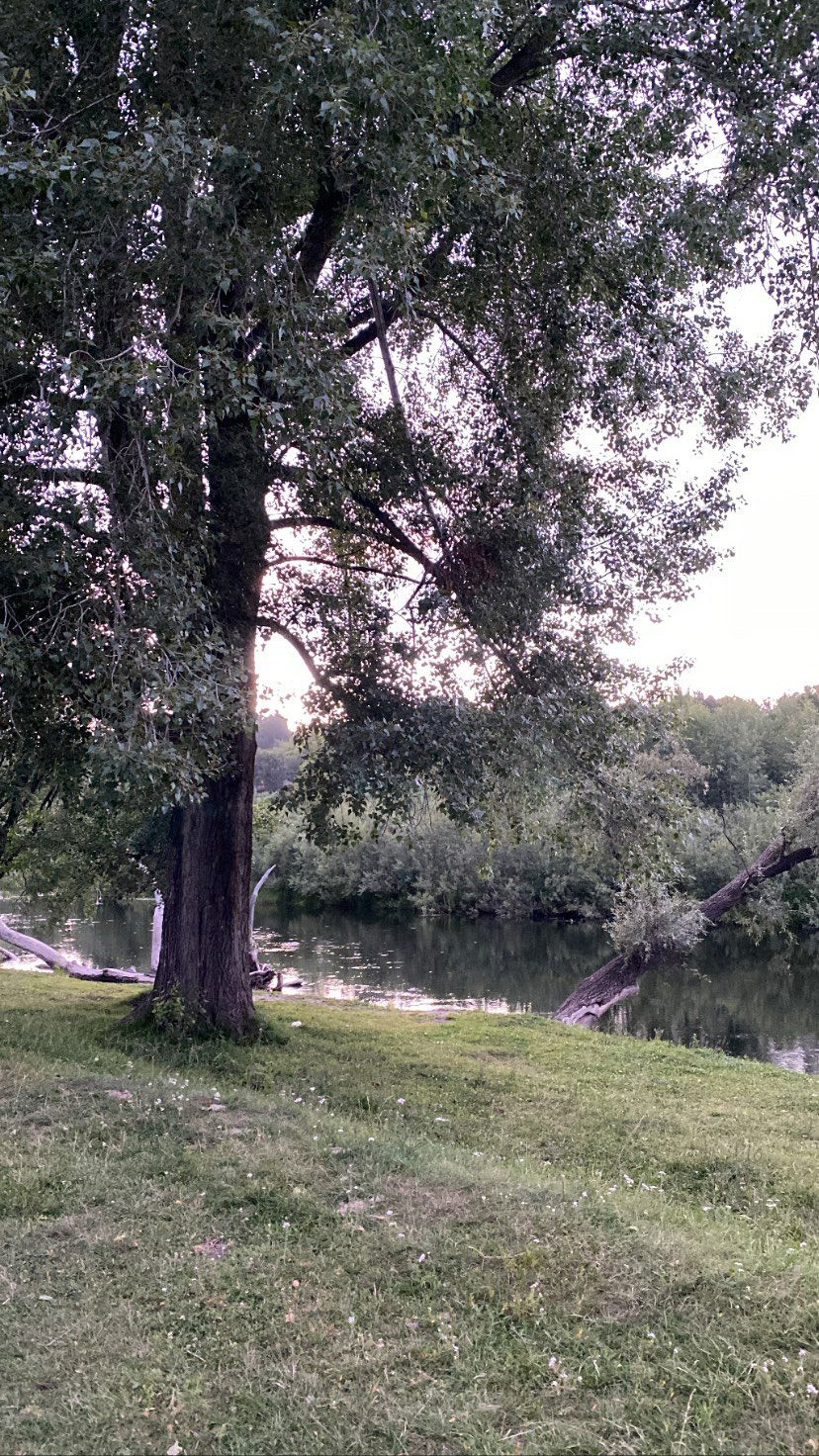 toriawashere instagram image archive image