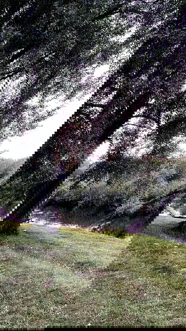 toriawashere image ~ Altpins