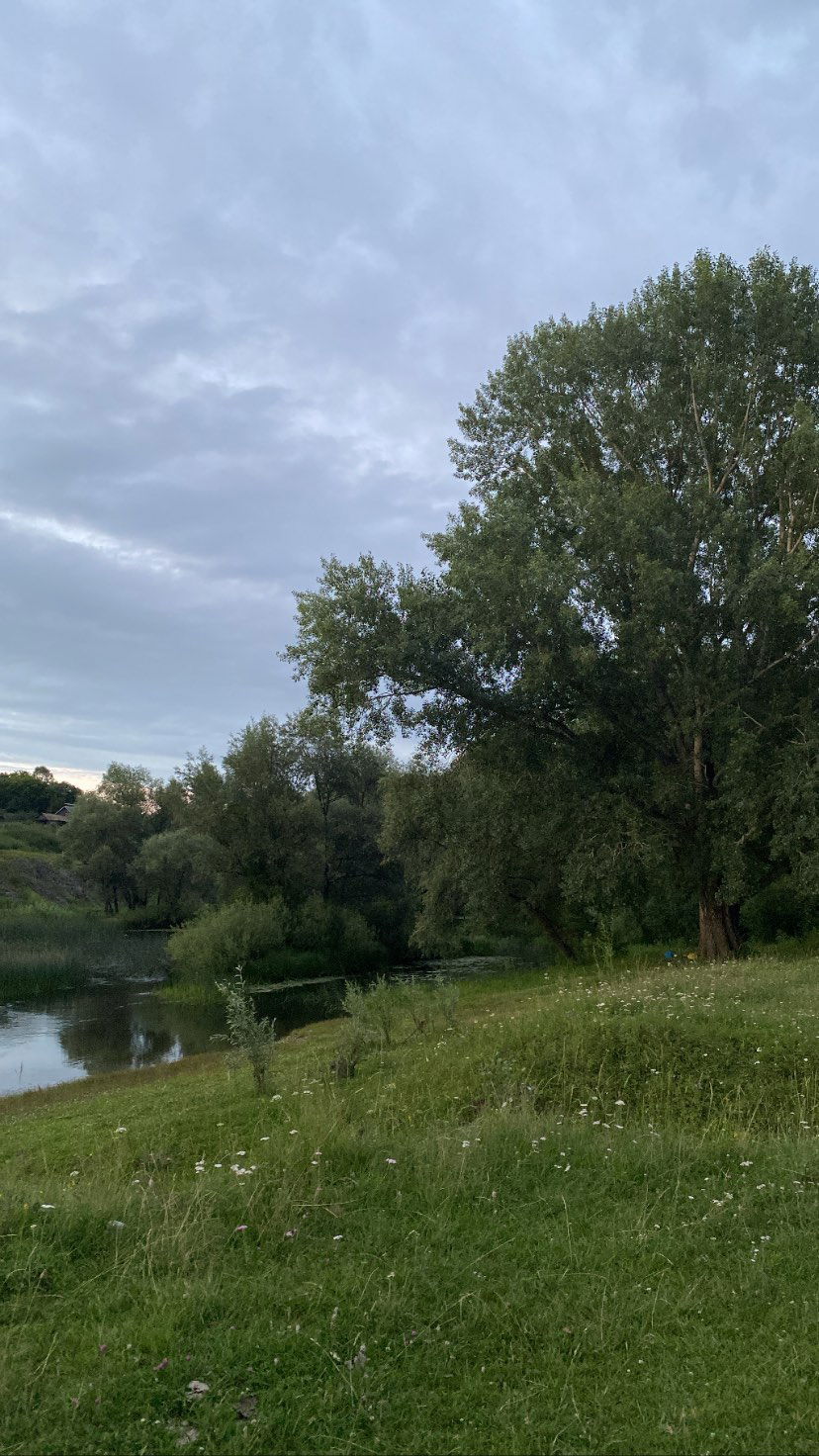 toriawashere instagram image archive image