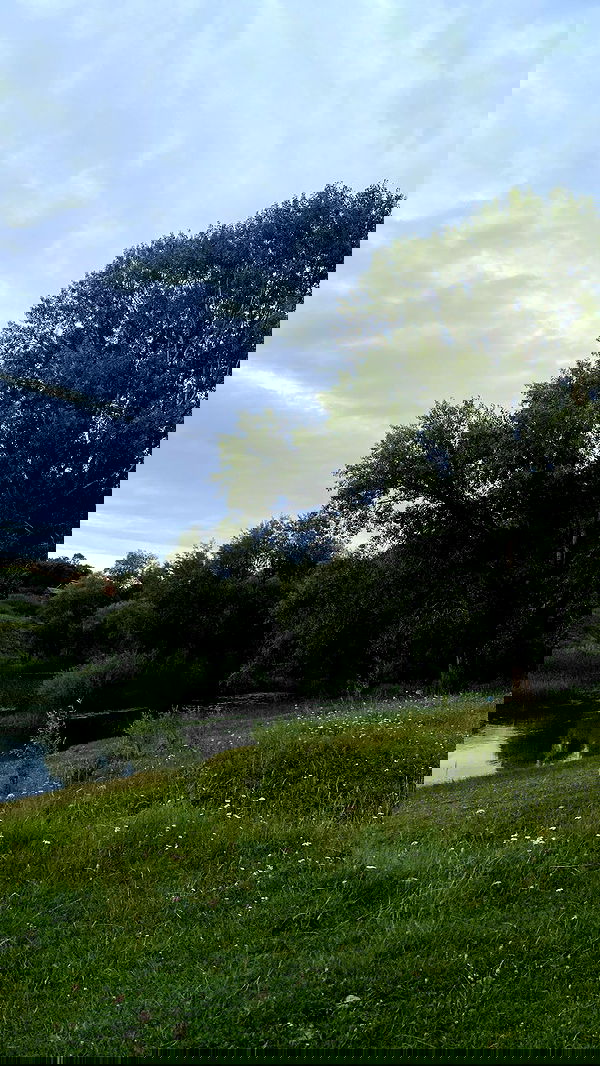 toriawashere image ~ Altpins