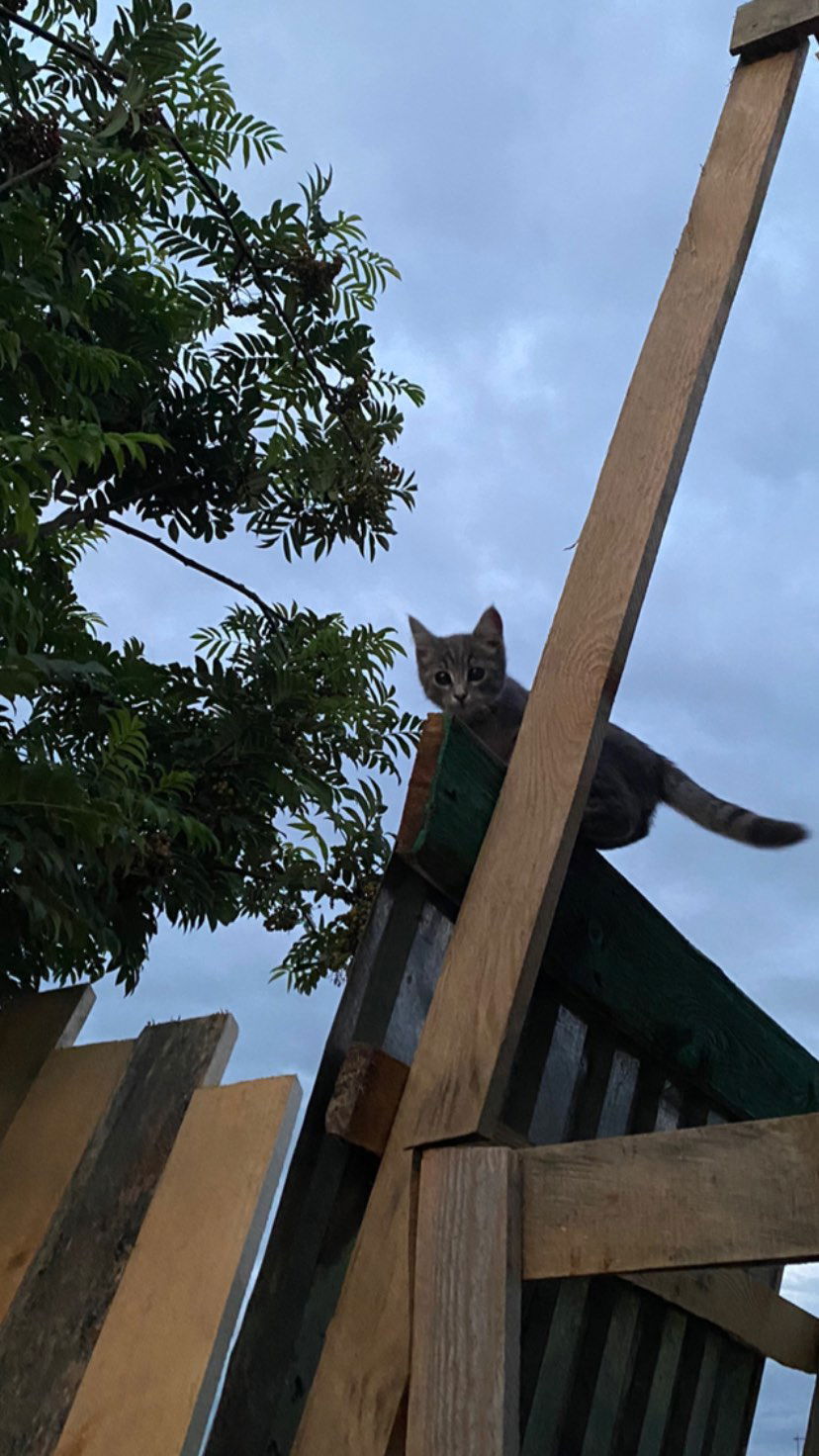 toriawashere instagram image archive image