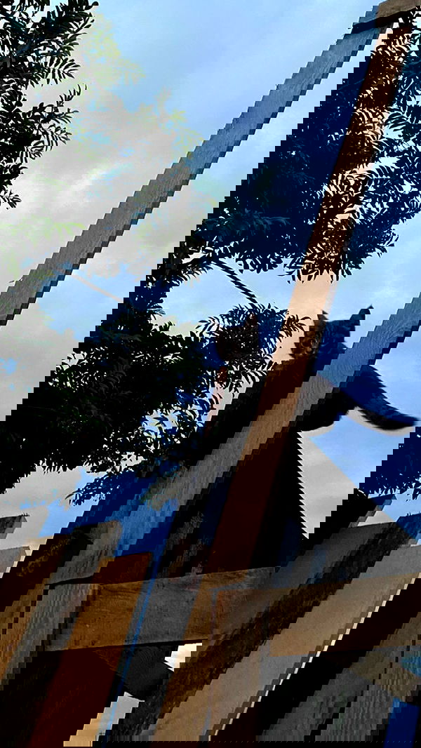 toriawashere image ~ Altpins