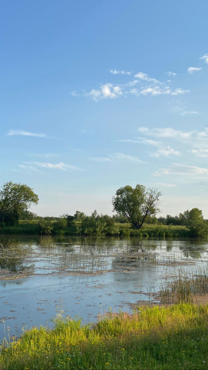 toriawashere instagram image archive image