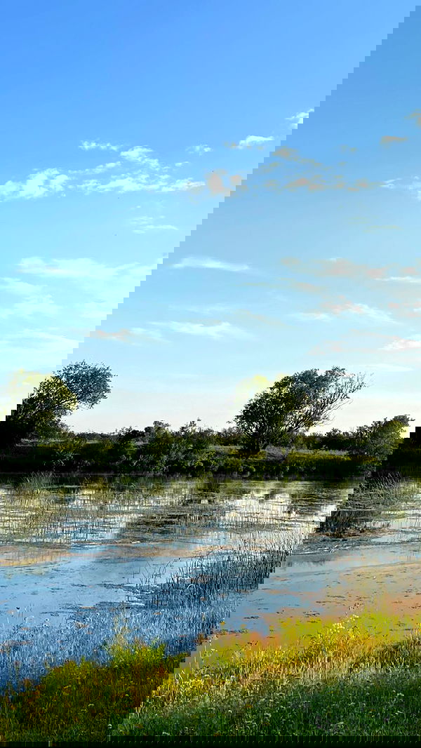 toriawashere image ~ Altpins