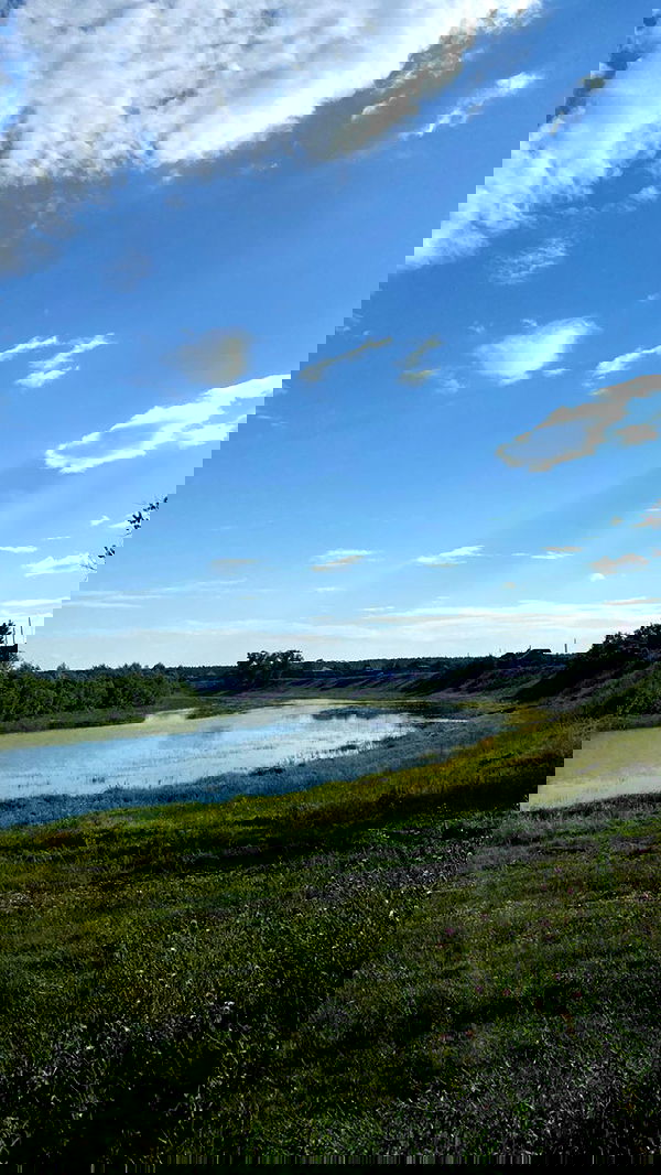 toriawashere image ~ Altpins