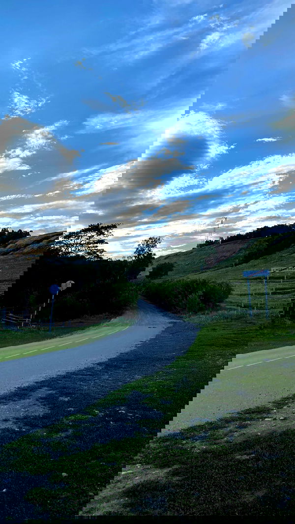 toriawashere image ~ Altpins