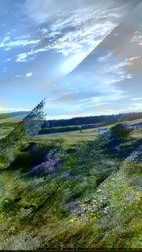 toriawashere image ~ Altpins