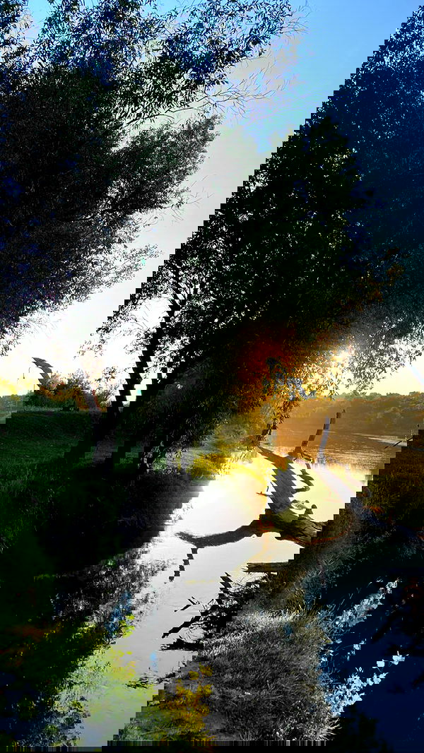 toriawashere image ~ Altpins