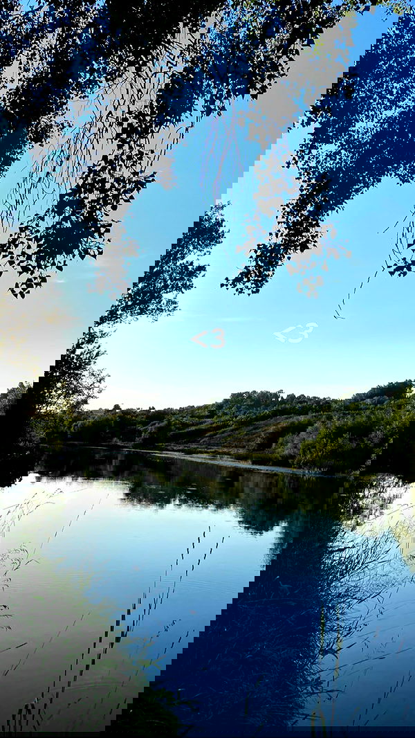 toriawashere image ~ Altpins