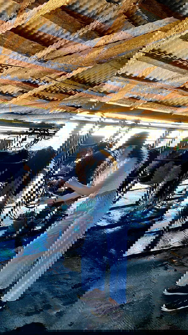 toriawashere image ~ Altpins