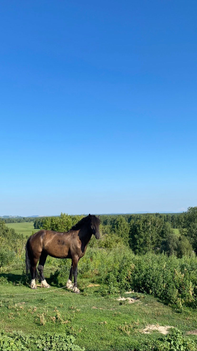 toriawashere instagram image archive image