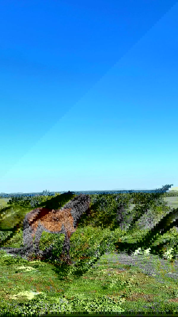 toriawashere image ~ Altpins