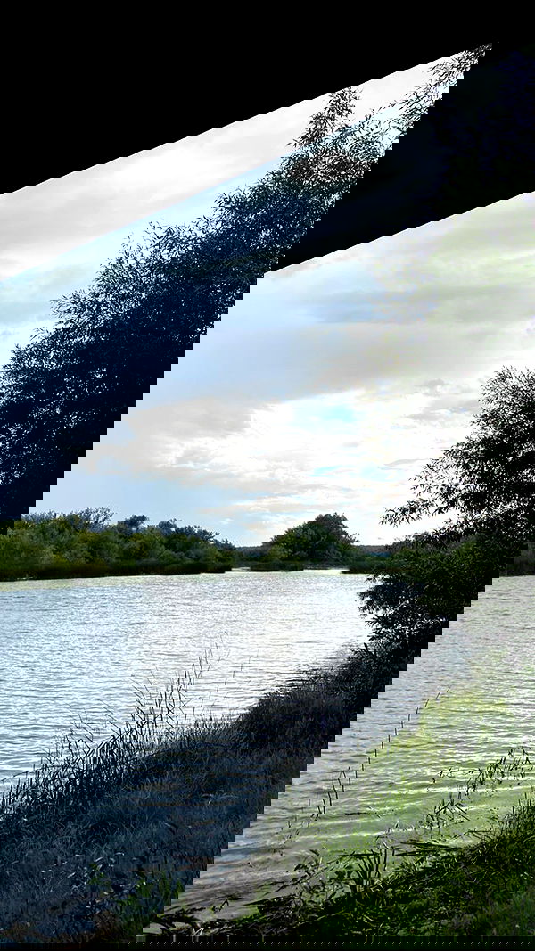 toriawashere image ~ Altpins