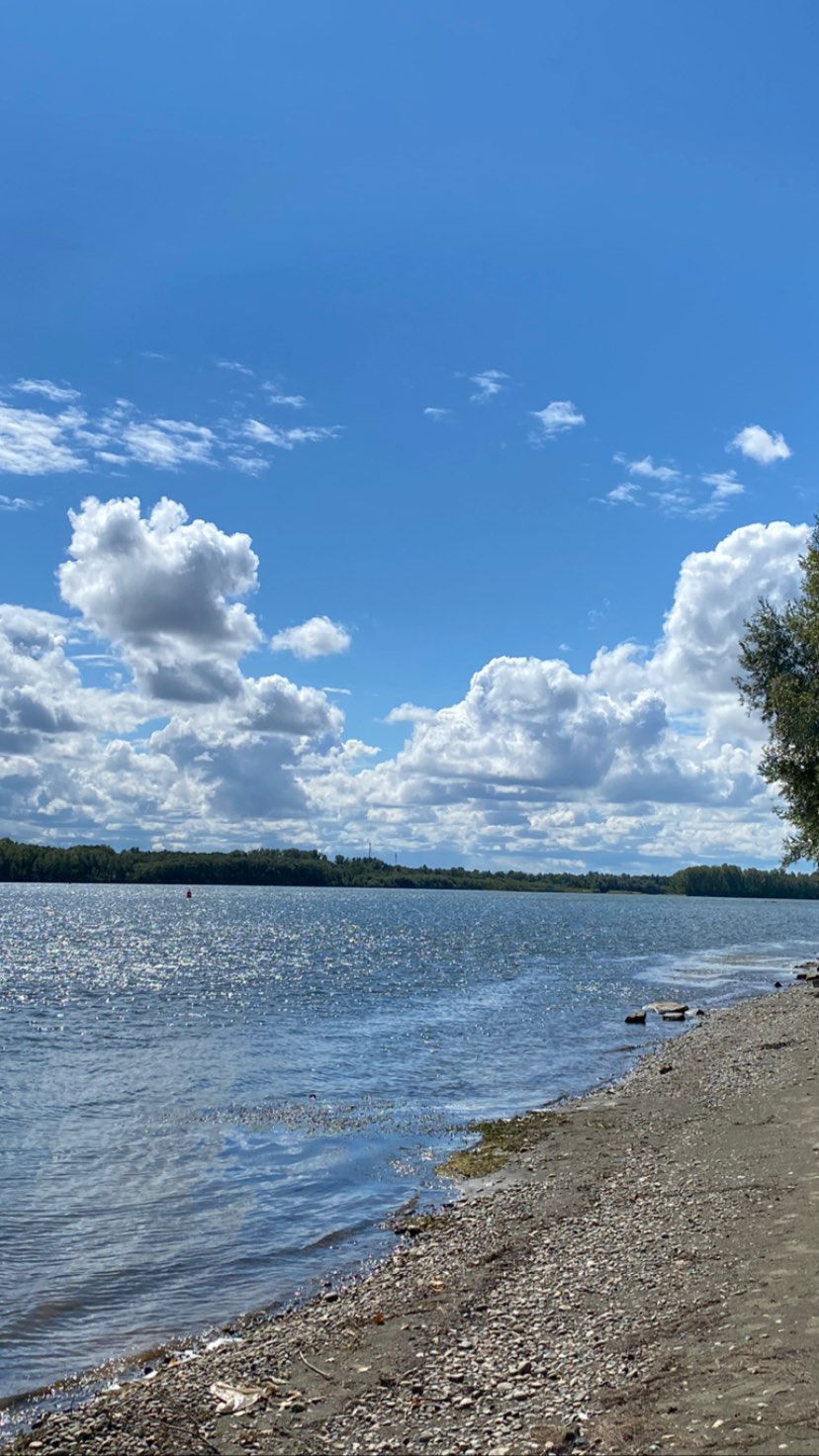 toriawashere instagram image archive image