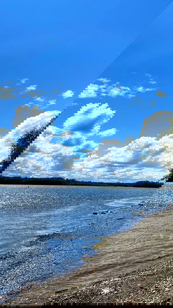 toriawashere image ~ Altpins