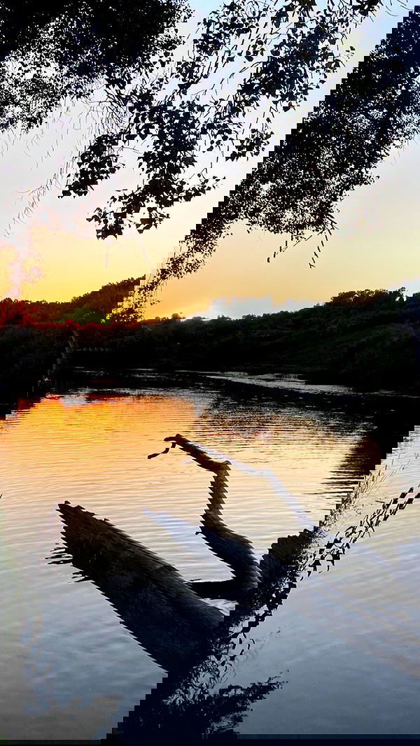 toriawashere image ~ Altpins