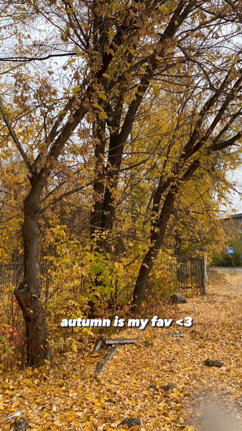 toriawashere instagram image archive image